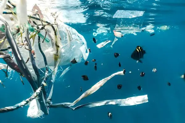 custom Ocean Plastic Leather backpack