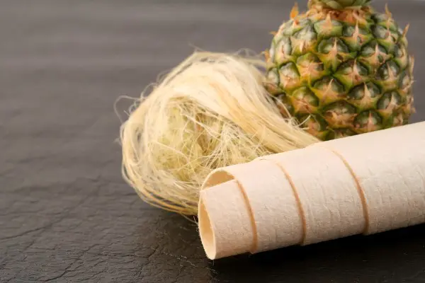 custom Pineapple Leather backpack