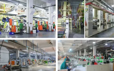 Top 5 Biodegradable Bag Manufacturers And Suppliers In China