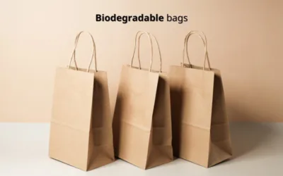 Biodegradable Bag Manufacturing in China: Materials, Certifications & Supplier Guide
