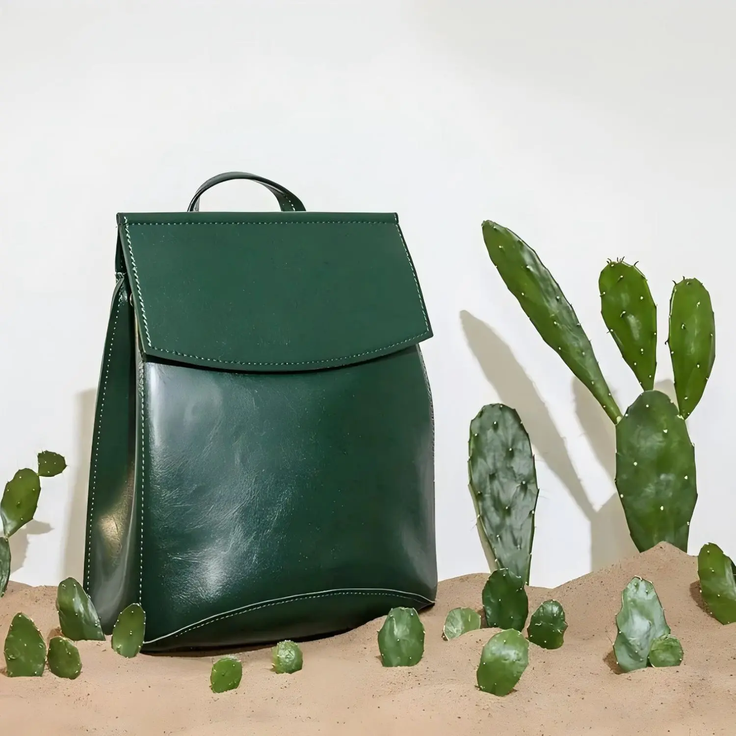 Cactus Leather backpack(1)(1)
