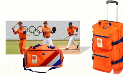 What Is a Baseball Bag