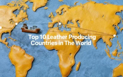 Top 10 Leather Producing Countries in The World
