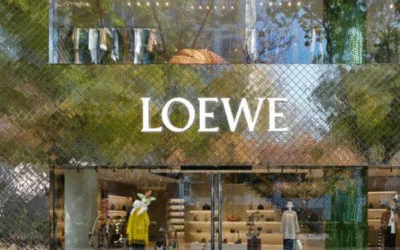 Why Are Loewe Bags So Expensive? Price Explained