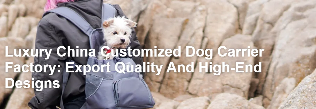 Custom Pet Travel Backpacks: A Niche Market With Big Potential