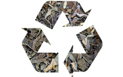 Sustainability Advantages of Recycled Leather Fiber