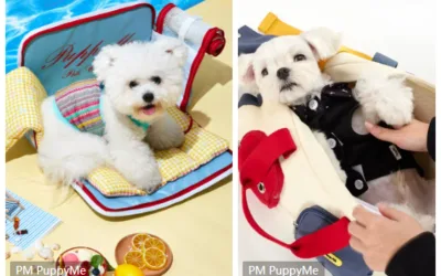 Custom Pet Bag Trends: Redefining Pet Travel with Style and Function